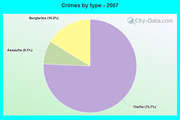 Crimes by type - 2007