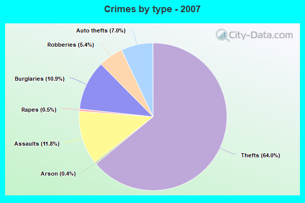 Crimes by type - 2007