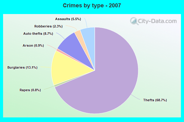 Crimes by type - 2007