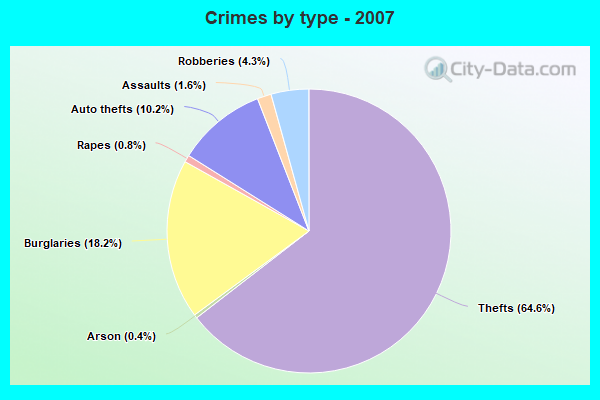 Crimes by type - 2007