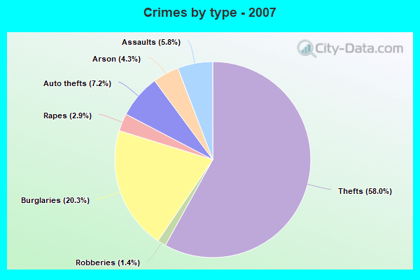 Crimes by type - 2007