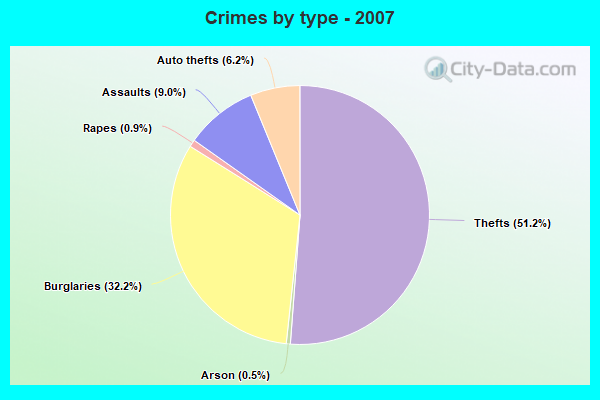 Crimes by type - 2007