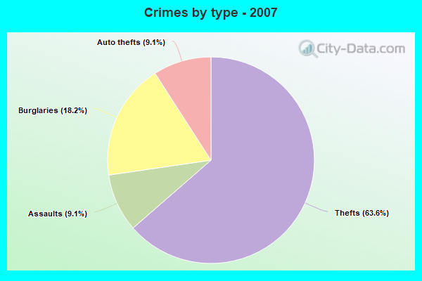 Crimes by type - 2007