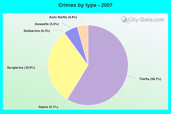 Crimes by type - 2007