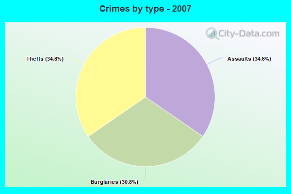 Crimes by type - 2007