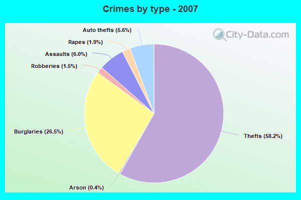 Crimes by type - 2007