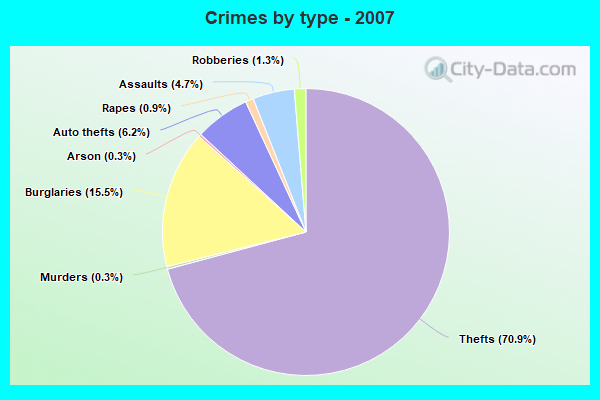 Crimes by type - 2007