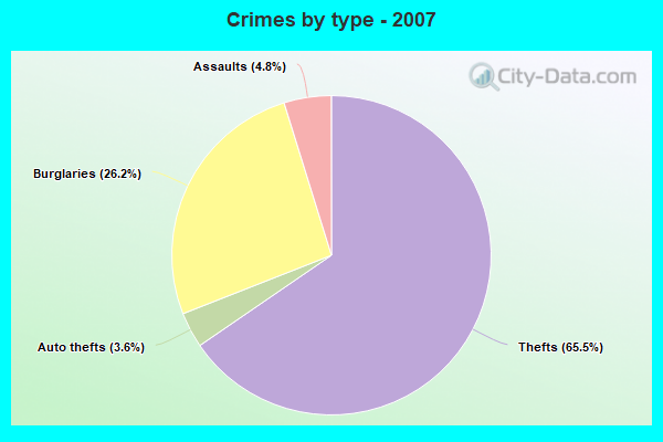 Crimes by type - 2007