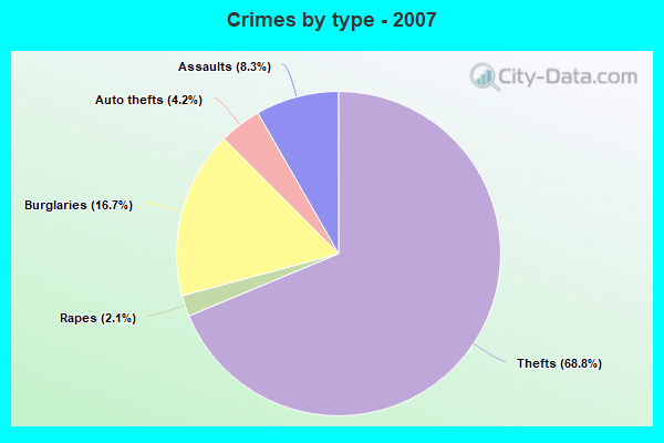 Crimes by type - 2007