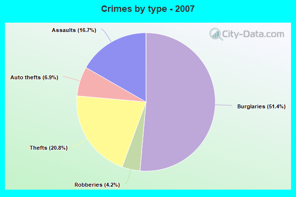 Crimes by type - 2007