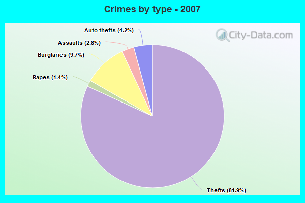 Crimes by type - 2007