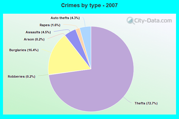 Crimes by type - 2007