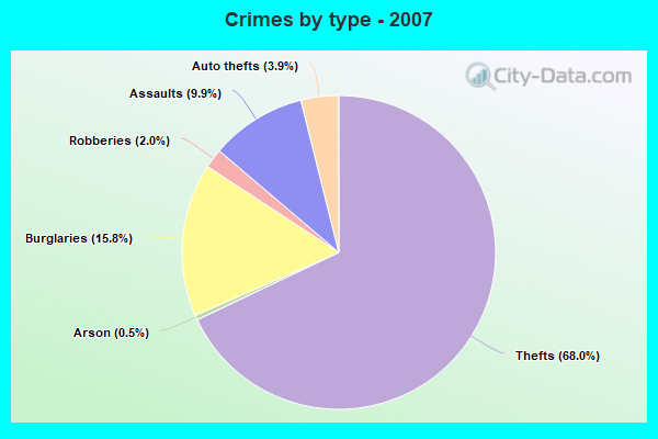 Crimes by type - 2007