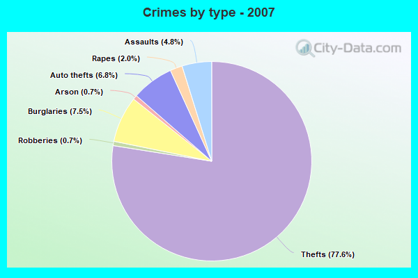 Crimes by type - 2007