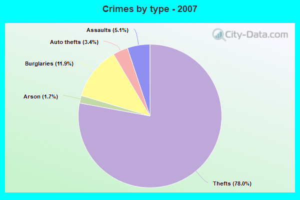 Crimes by type - 2007