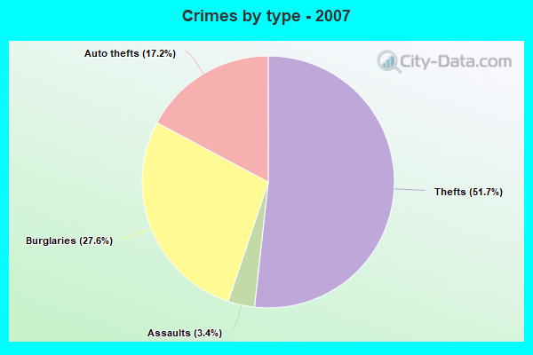 Crimes by type - 2007