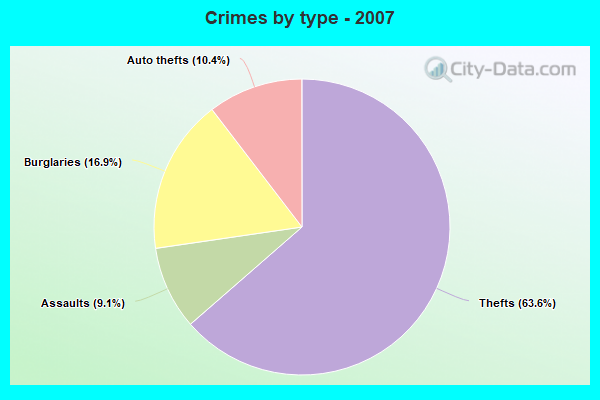 Crimes by type - 2007