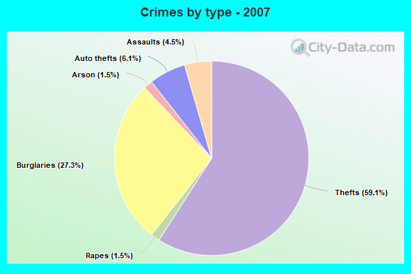 Crimes by type - 2007