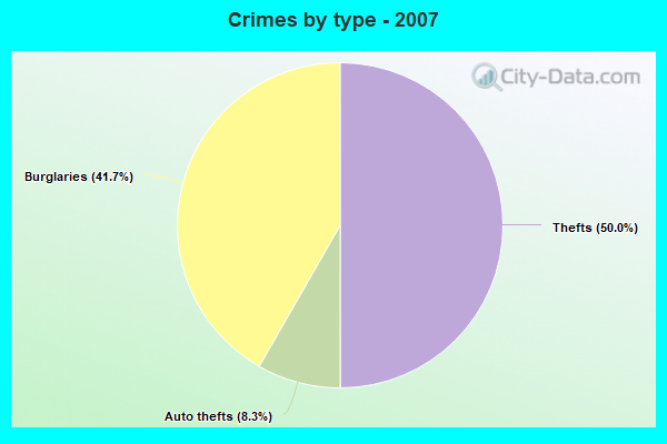 Crimes by type - 2007