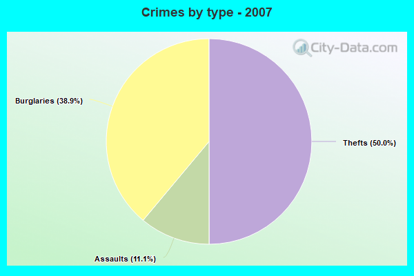 Crimes by type - 2007