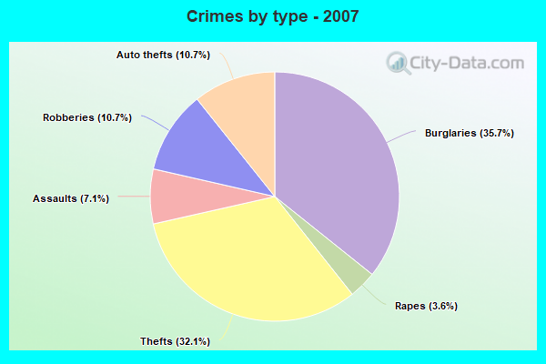 Crimes by type - 2007