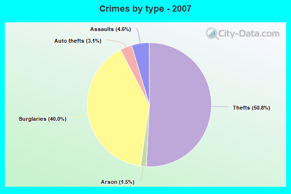 Crimes by type - 2007