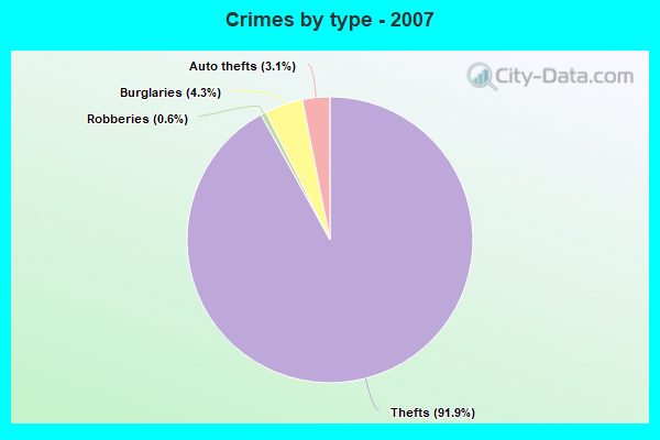 Crimes by type - 2007