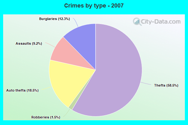 Crimes by type - 2007