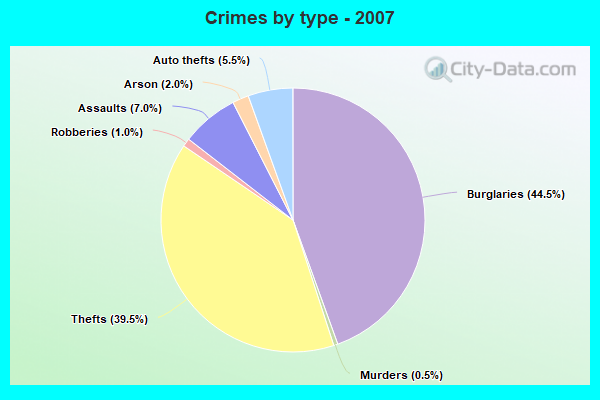 Crimes by type - 2007