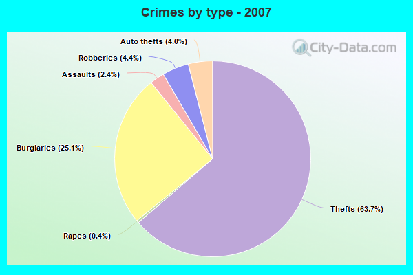 Crimes by type - 2007