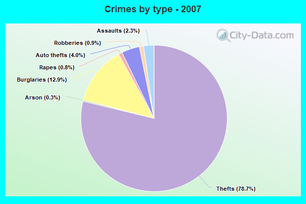 Crimes by type - 2007