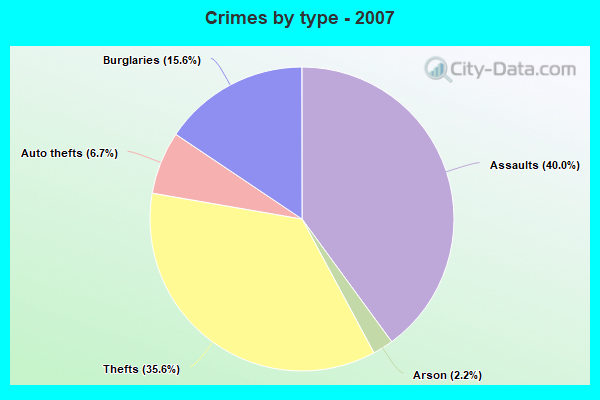 Crimes by type - 2007