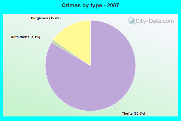 Crimes by type - 2007