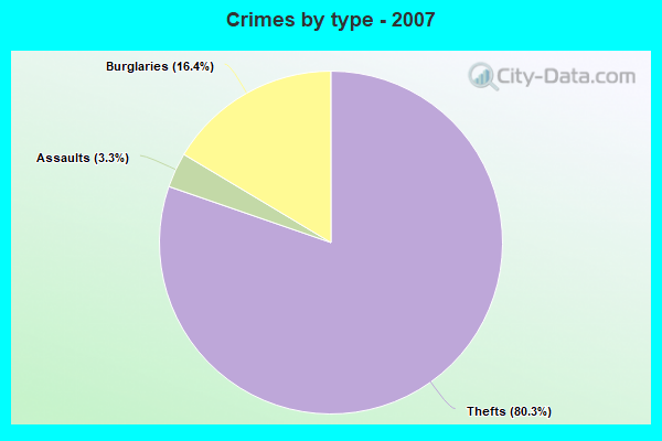 Crimes by type - 2007