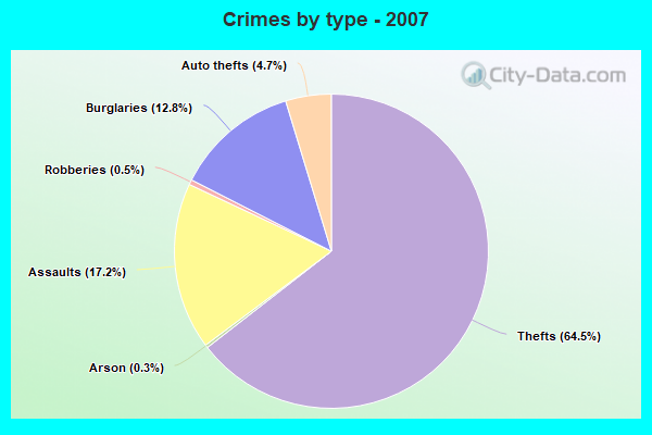 Crimes by type - 2007