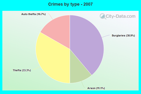 Crimes by type - 2007