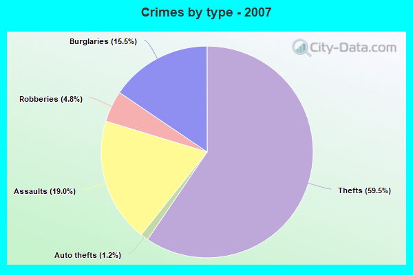 Crimes by type - 2007