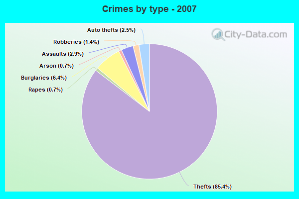 Crimes by type - 2007