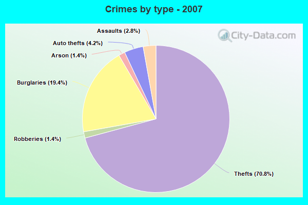 Crimes by type - 2007