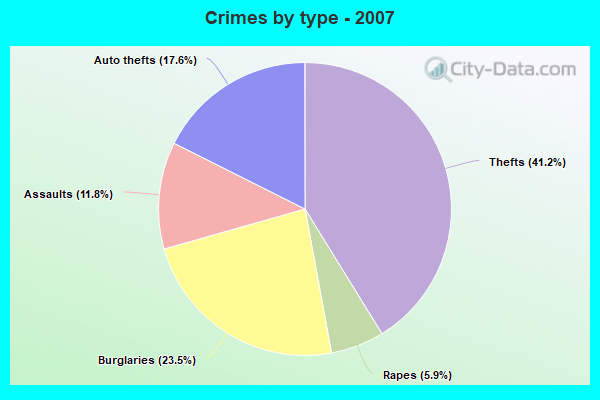 Crimes by type - 2007