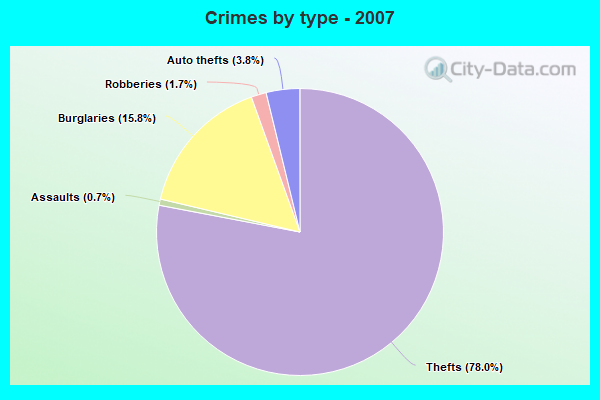 Crimes by type - 2007