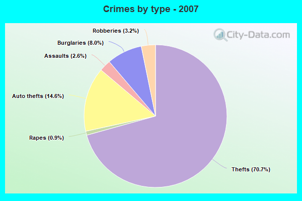 Crimes by type - 2007