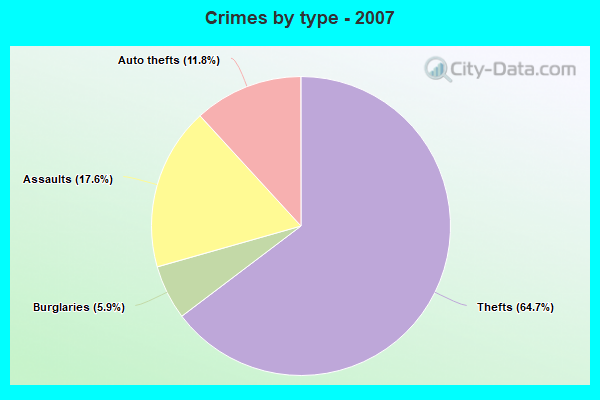 Crimes by type - 2007