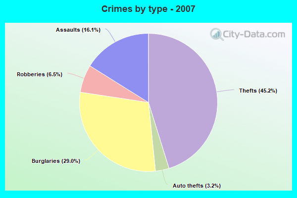 Crimes by type - 2007