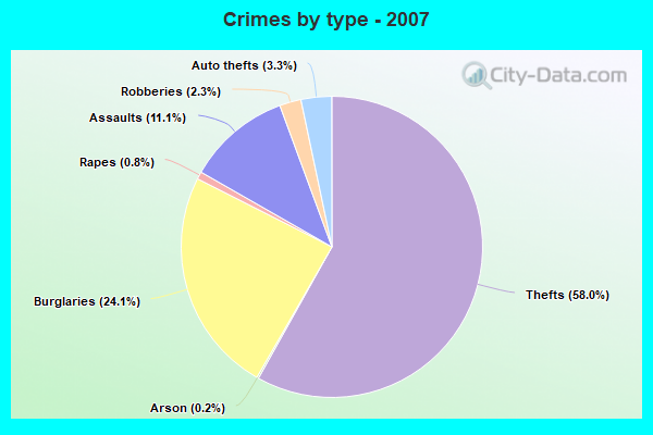 Crimes by type - 2007