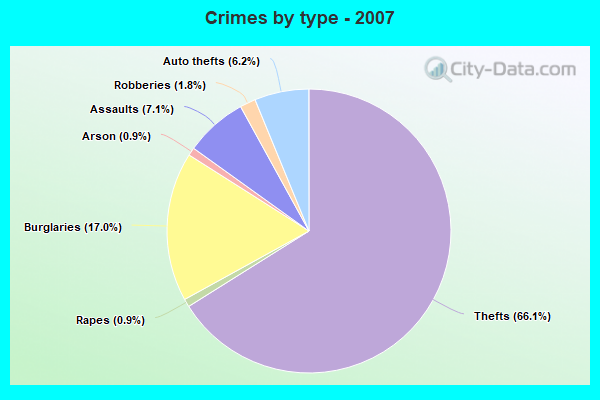 Crimes by type - 2007