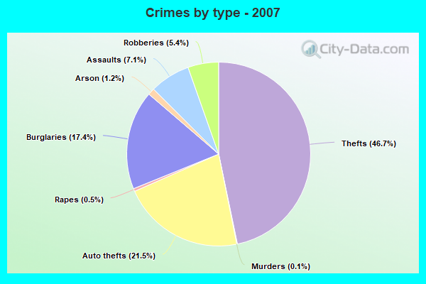 Crimes by type - 2007