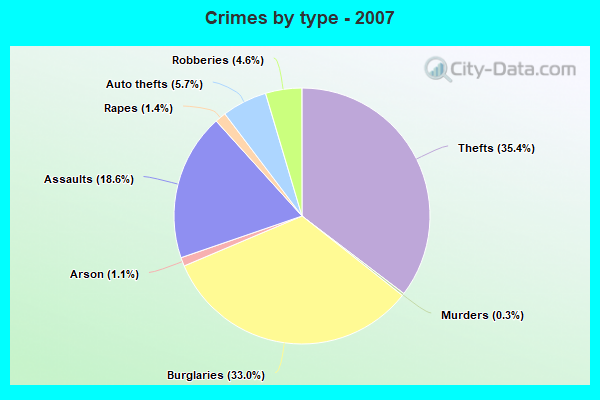 Crimes by type - 2007