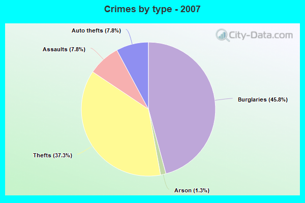 Crimes by type - 2007