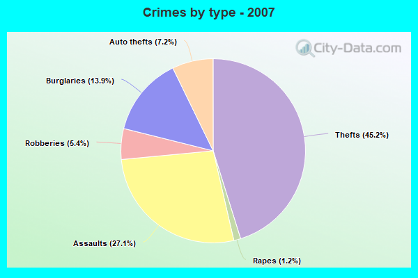 Crimes by type - 2007